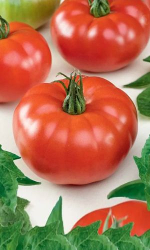 Томат ПОДАРОЧНЫЙ &mdash; Красивые, крупные, изумительного вкуса томаты! Не растрескивается! Хорошо завязывает плоды!