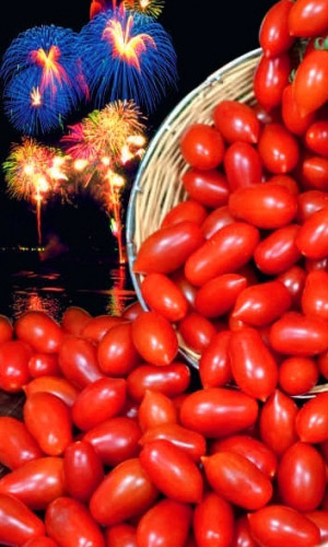 Томат ПРАЗДНИЧНЫЙ &mdash; Популярный! Впечатляюще урожайный! Для засолки и праздничной сервировке стола!