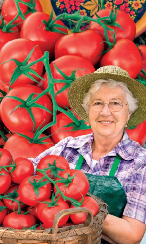 Томат СЕМЁНОВНА &mdash; Настоящая бомба среди томатов! Смотрите чтобы взрывная волна не завалила вас необычайно сладкими помидорами! Урожаи только рекордные!