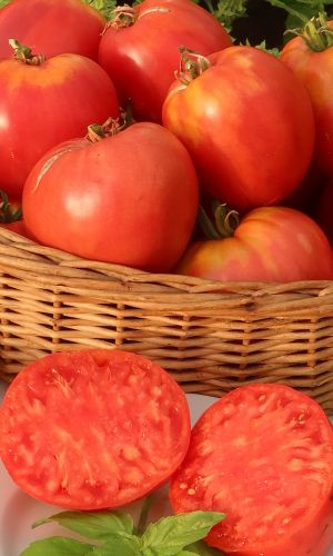 Томат ВЕЛЬМОЖА &mdash; Вне всякой конкуренции - богатырь в малиновом кафтане! Мякоть как по волшебству сочетает лучшие качества - сказочно вкусная!