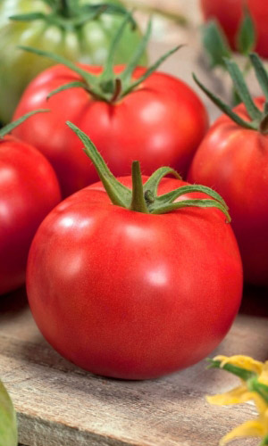 Томат ЯБЛОЧНЫЙ