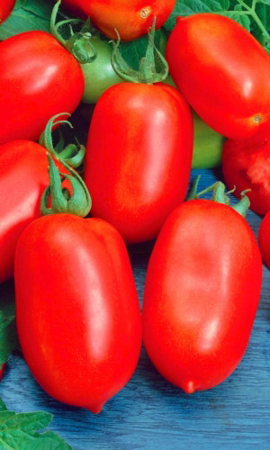 Томат ЗАСОЛОЧНЫЙ РУССКИЙ ДЕЛИКАТЕС &mdash; Скороспелый! Сверхурожайный! Невероятно вкусный и ароматный!