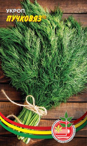 Укроп ПУЧКОВЯЗ &mdash; Для пучкового сбора! Высокая урожайность зелени! Сильная ароматичность! Замедленное стеблевание!