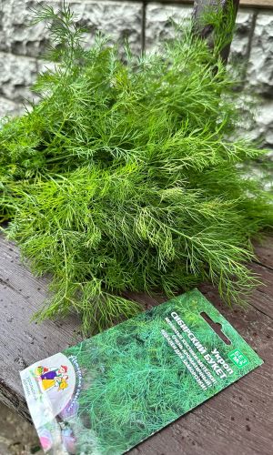Укроп СИБИРСКИЙ БУКЕТ