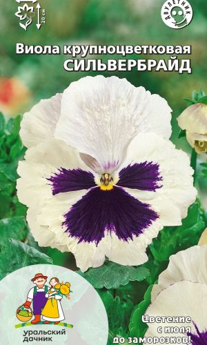 Виола СИЛЬВЕРБРАЙД