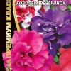 Петуния КОРОЛЕВА ВЕЧЕРИНОК супермахровая